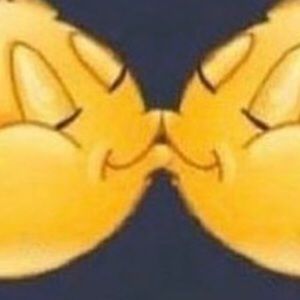 Meet your Posher, Sean